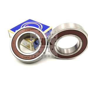 NSK 6007DDU Manufacturing Plant 6007-2RS Deep Groove Ball Bearing